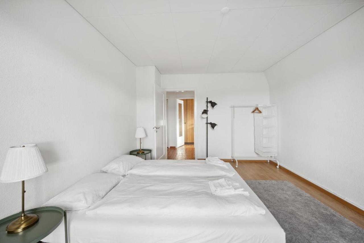 Cozy Apartment In The Heard Of Zurich Sonnegg エクステリア 写真