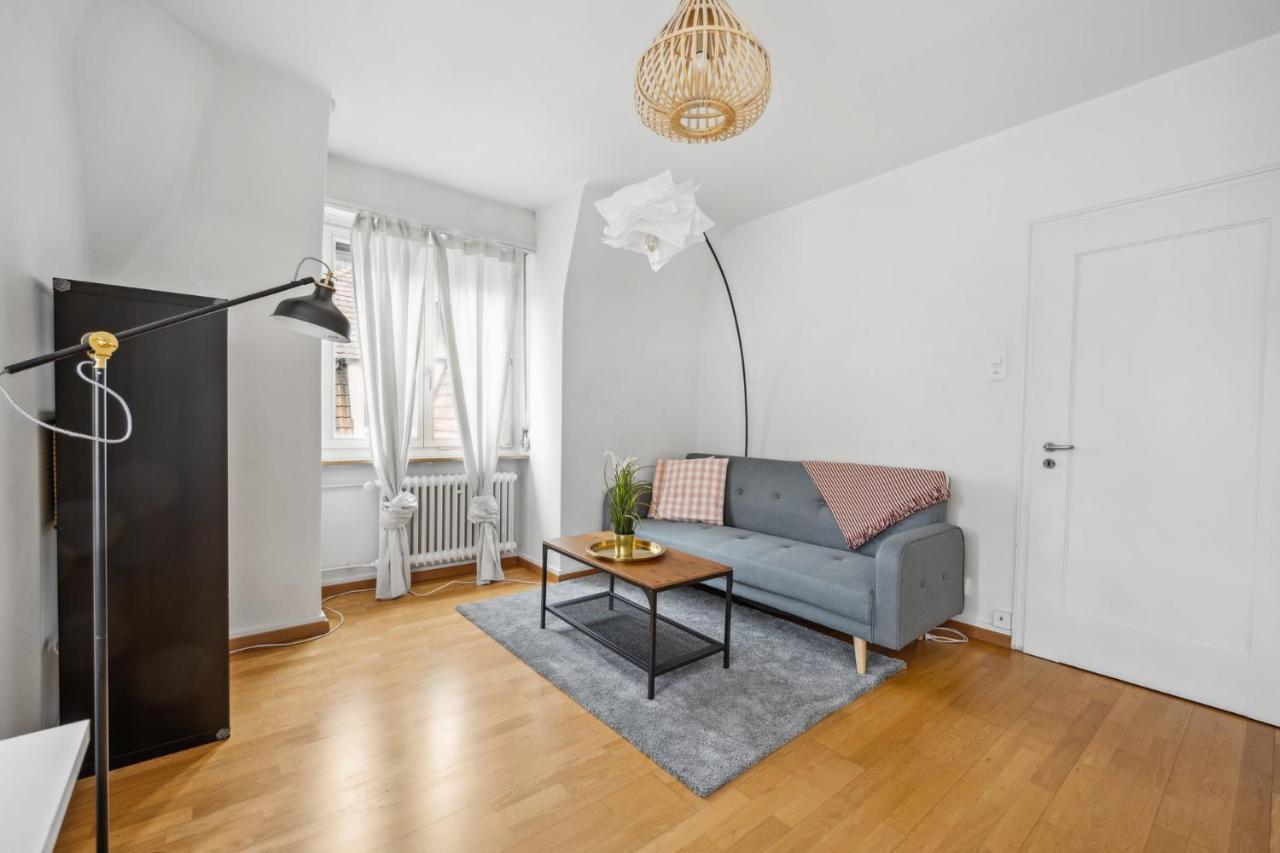 Cozy Apartment In The Heard Of Zurich Sonnegg エクステリア 写真