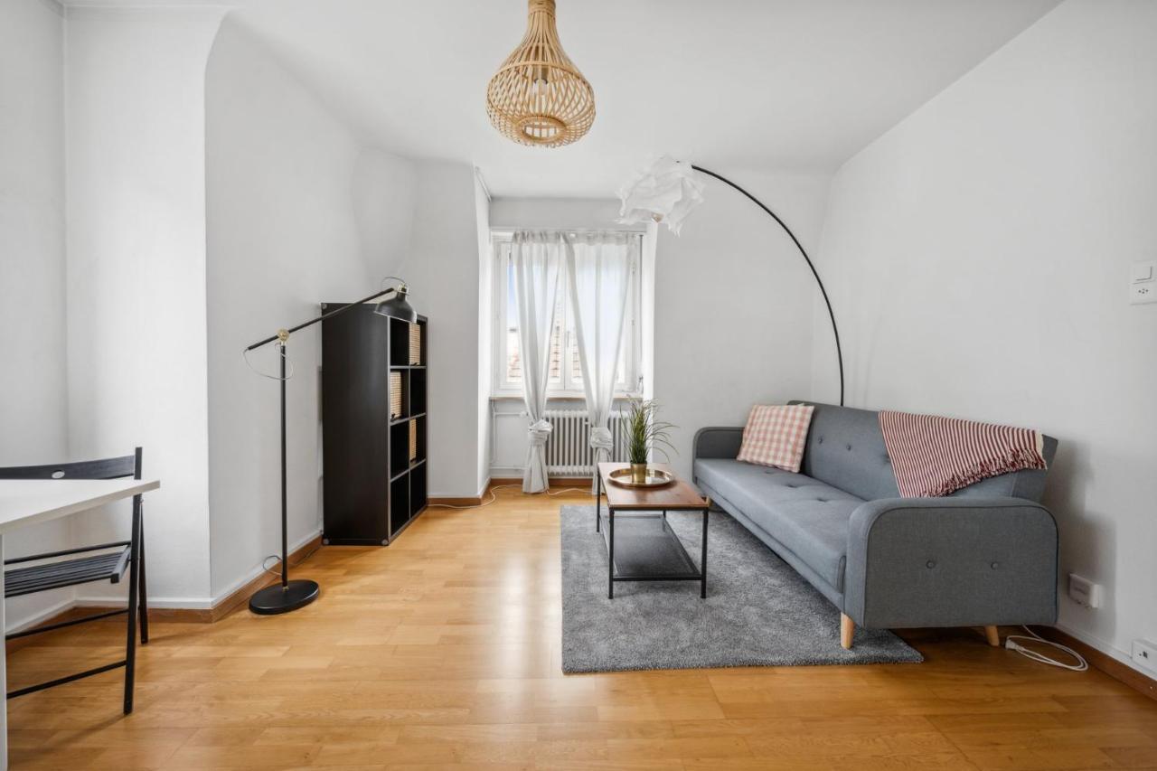 Cozy Apartment In The Heard Of Zurich Sonnegg エクステリア 写真